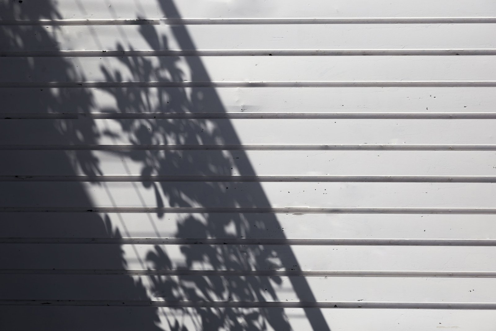 Woman walking on misty mountain spiritual journey